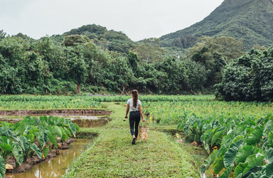 The 3 Most Commonly Asked Questions About OluKai