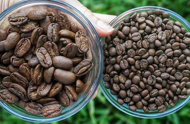 Behind The Brew With Big Island Coffee Roasters