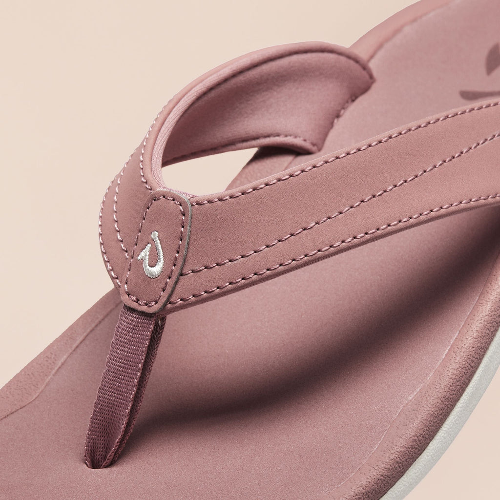 Coral Rose Big Image - 2